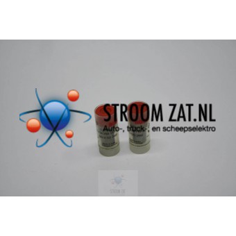 Nozzle Bosch 0434250110