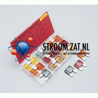 Steekzekeringen Maxi assortiment