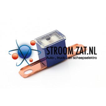 Pal Zekering 100A blauw