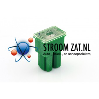 Pal Steekzekering Female 40A groen