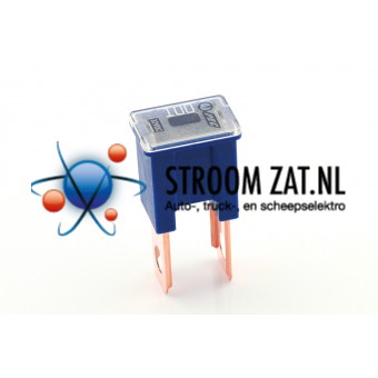 Pal Steekzekering Male 100A blauw