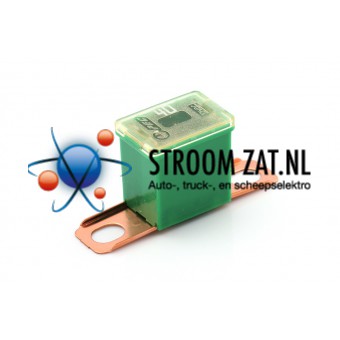 Pal Zekering 40A groen