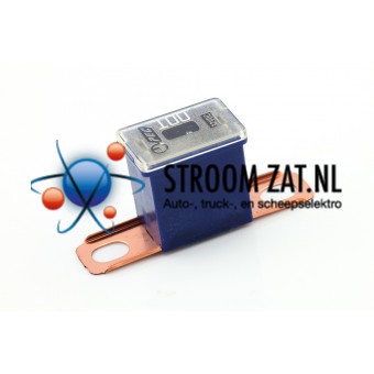 Pal Zekering 100A blauw